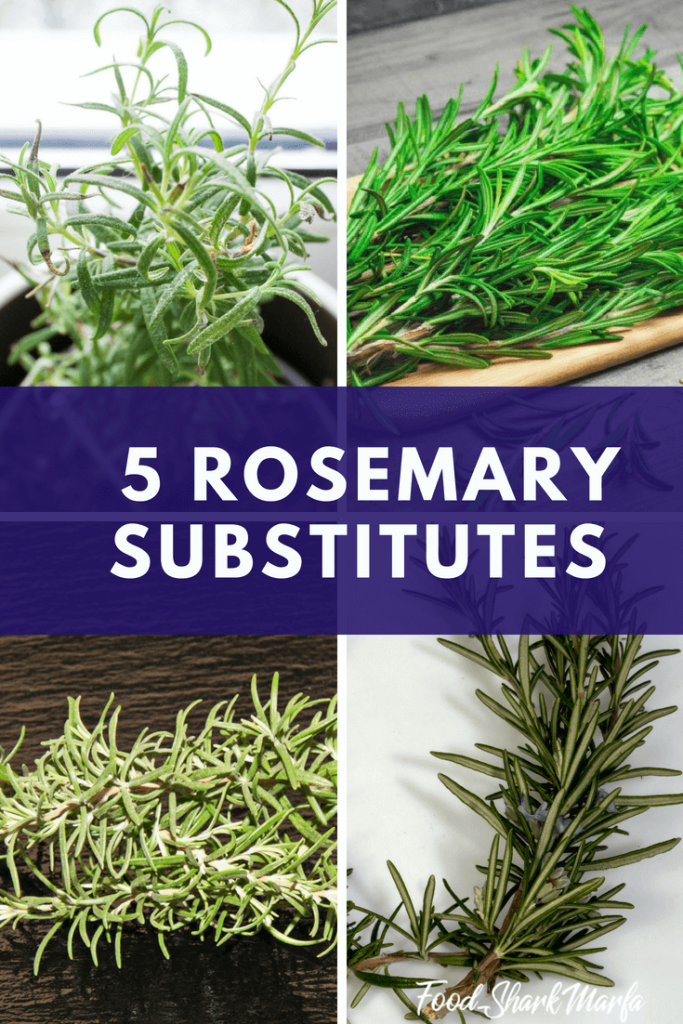 5 Rosemary Substitutes You Must Try! Food Shark Marfa