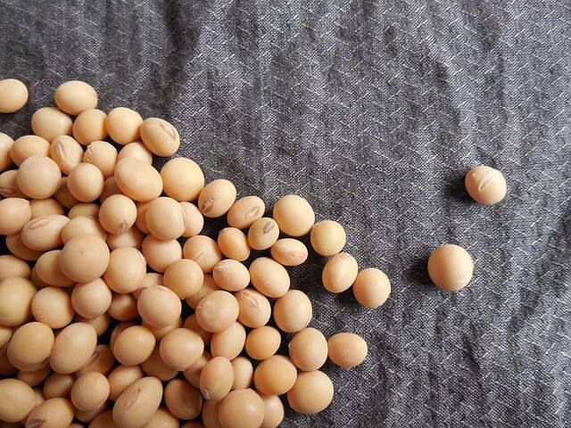 Soybean Oil Soybean Oil