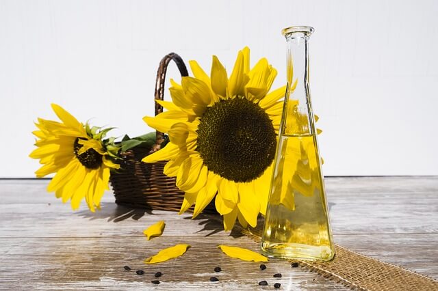 Sunflower Oil Sunflower Oil