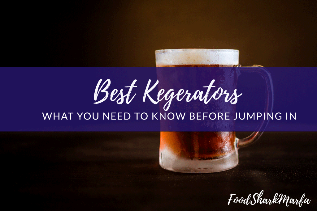Best Kegerators