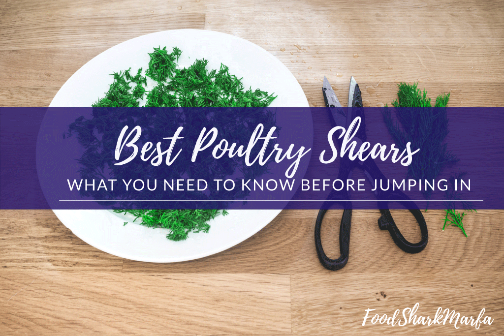 Best Poultry Shears