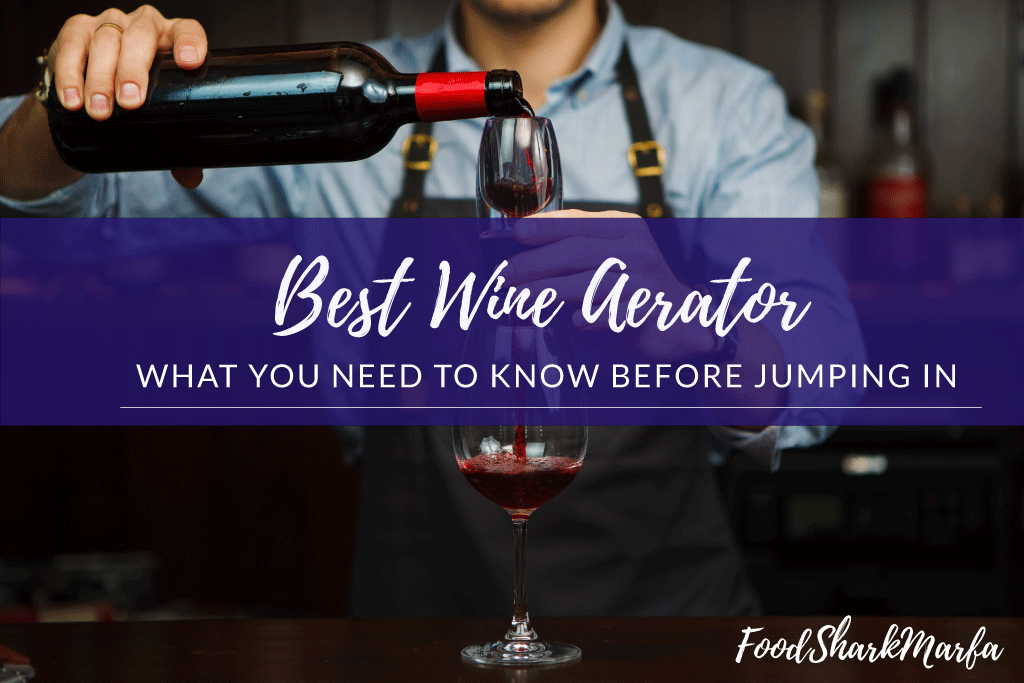Best Wine Aerator Reviews