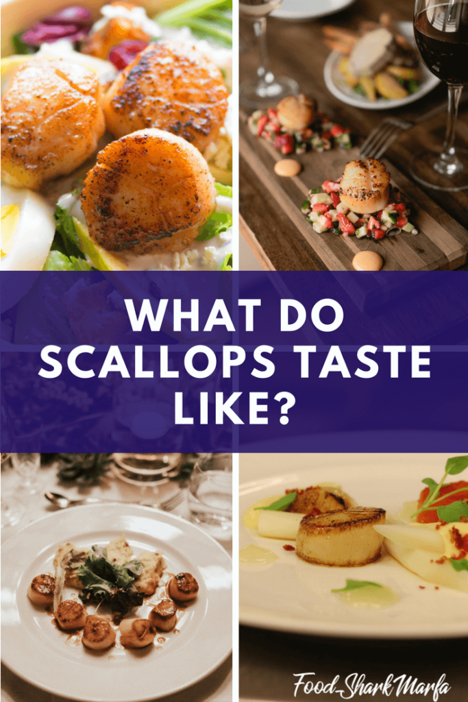 What Do Scallops Taste Like? Food Shark Marfa