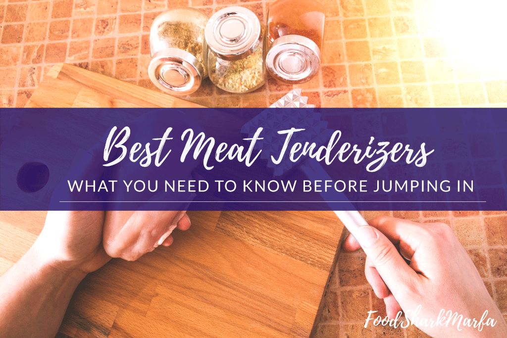 Best Meat Tenderizers