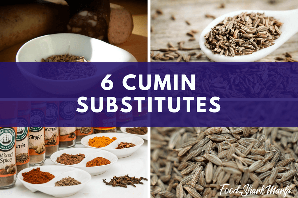 Cumin: Cumin Seeds, Cumin Powder, and Substitutes