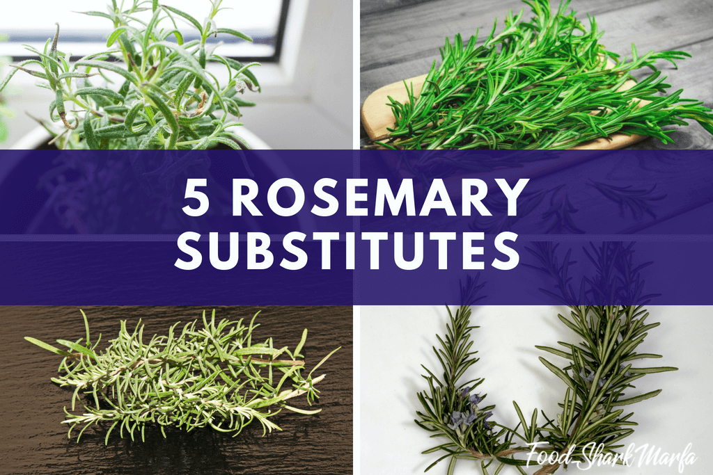 Rosemary Substitutes
