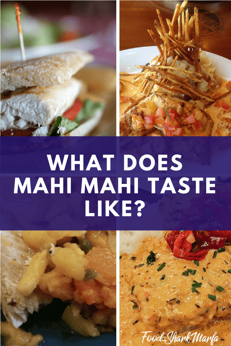 What Does Mahi Mahi Taste Like? Food Shark Marfa