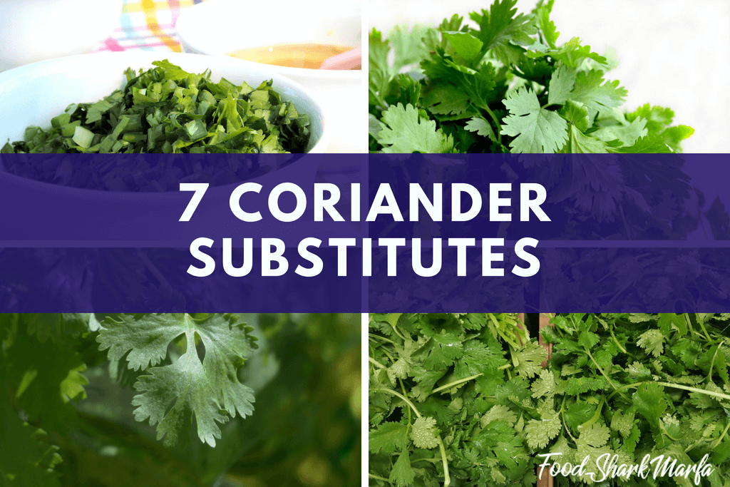 coriander substitutes