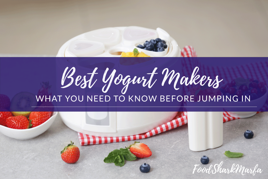 best home yogurt maker
