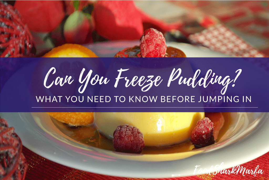 Can-You-Freeze-Pudding