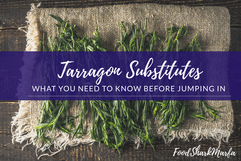 Tarragon-Substitutes