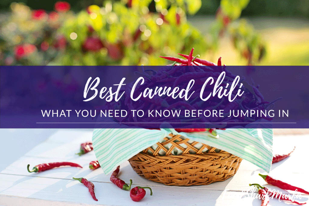 Best-Canned-Chili