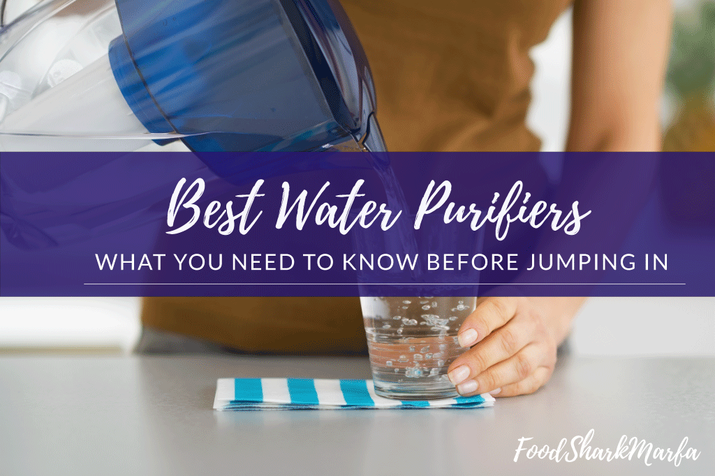 Best-Water-Purifiers