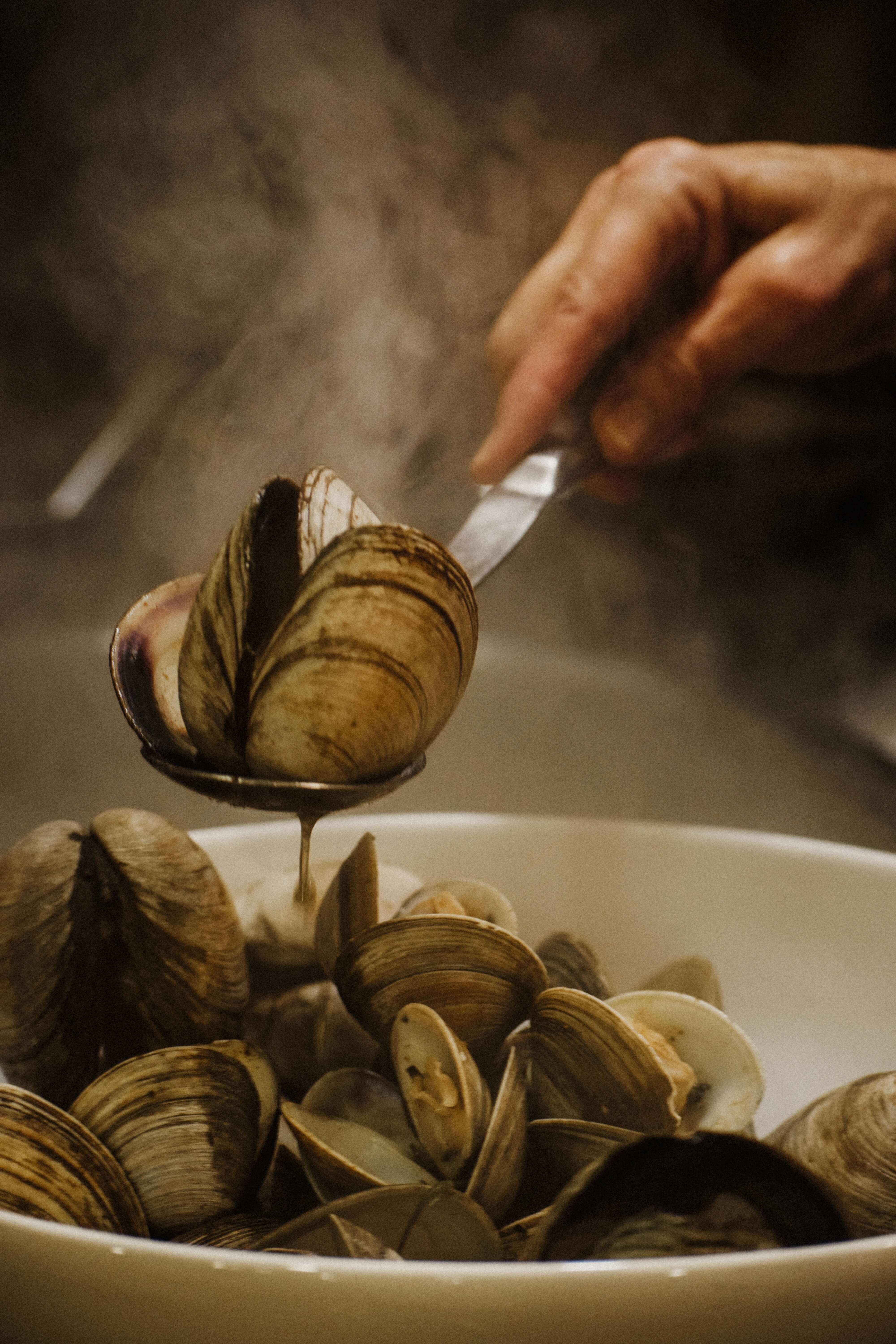 Steaming mussels
