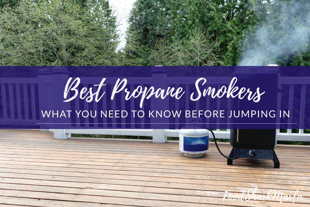 Best-Propane-Smokers