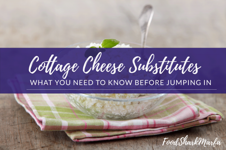The 5 Best Cottage Cheese Substitutes Food Shark Marfa