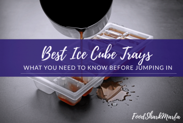 https://www.foodsharkmarfa.com/wp-content/uploads/2019/04/Best-Ice-Cube-Trays-370x250.png