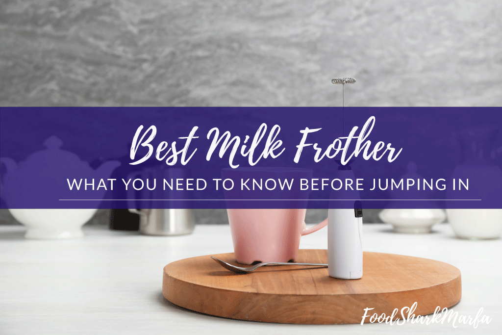 Best Milk Frothers