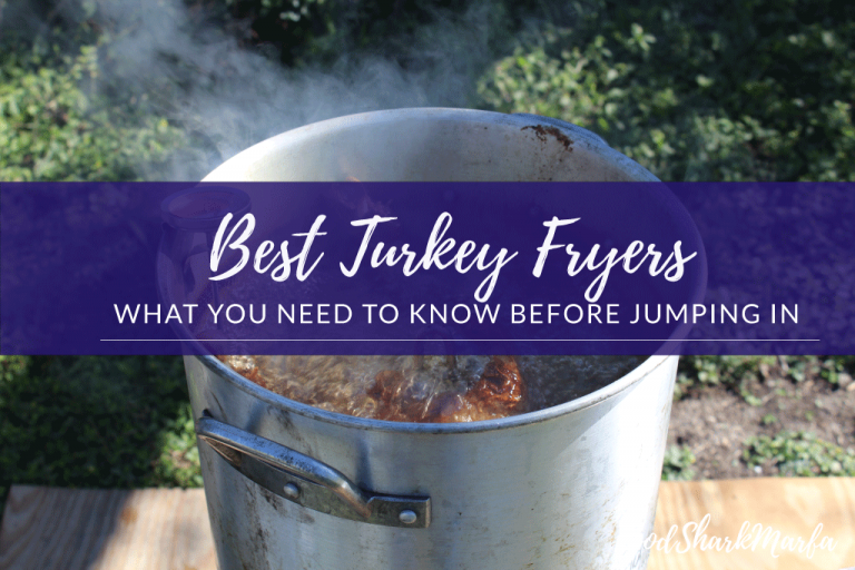 The 10 Best Turkey Fryers in 2023 Food Shark Marfa