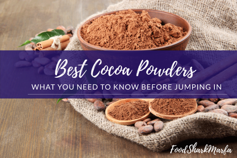 The 10 Best Cocoa Powders in 2023 Food Shark Marfa