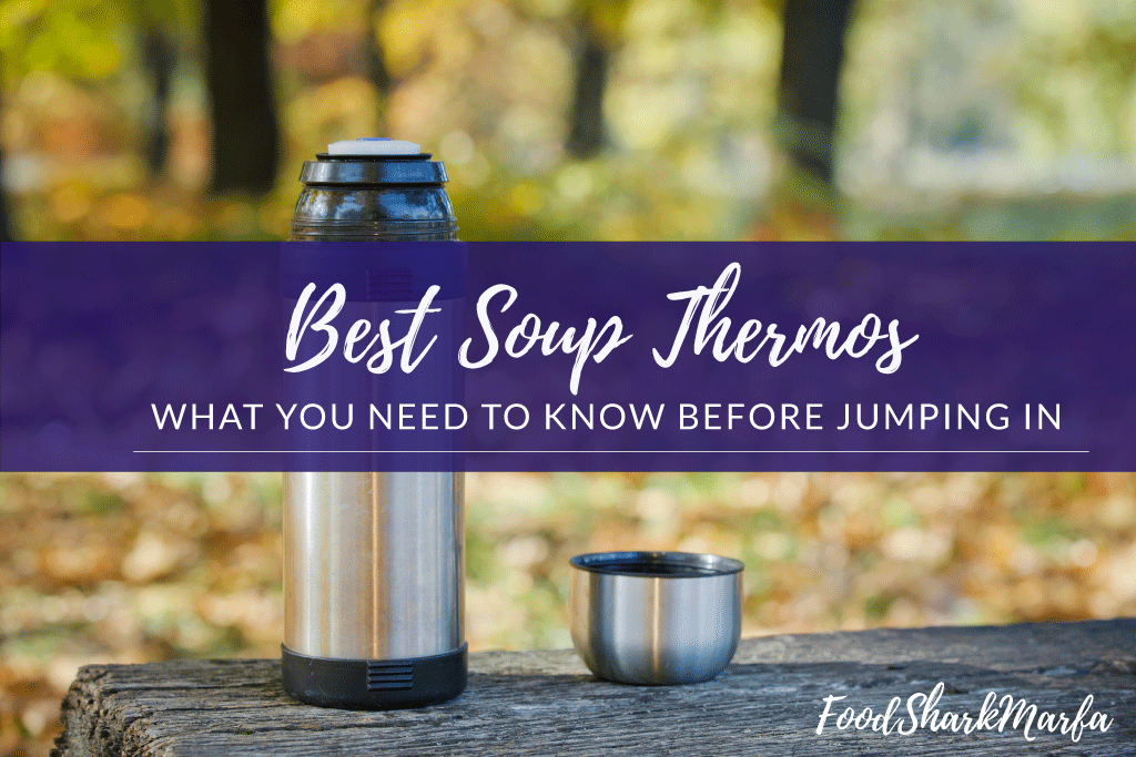 Best Soup Thermos