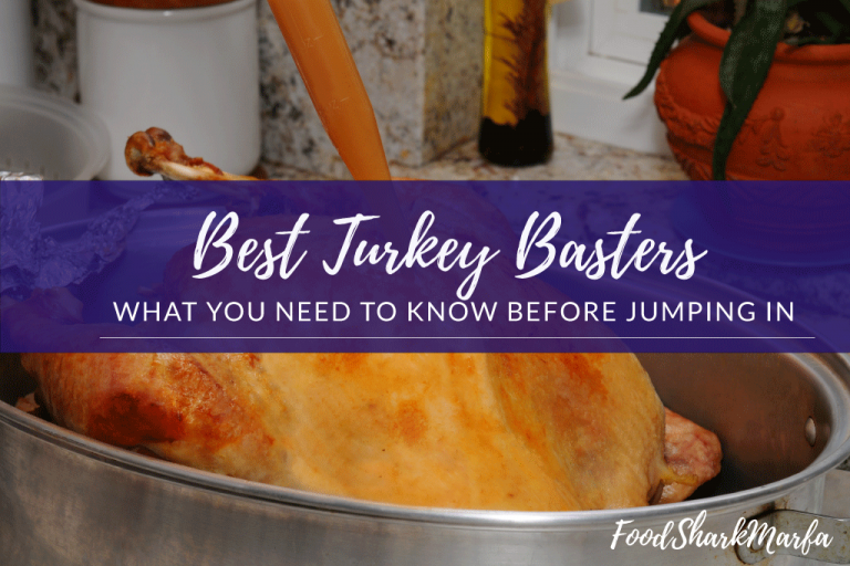 The 10 Best Turkey Basters to Make Gravy, Sauces, and More Food Shark Marfa