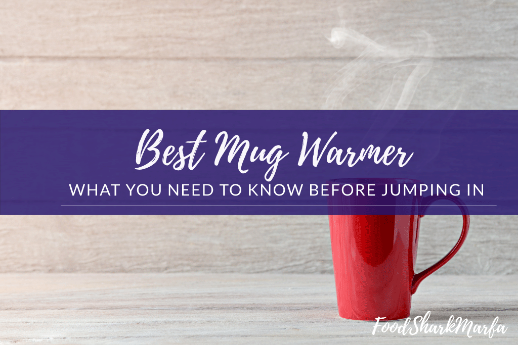 Best Mug Warmer