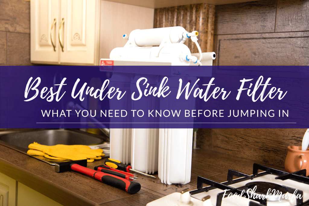 Best Under Sink Water Filter
