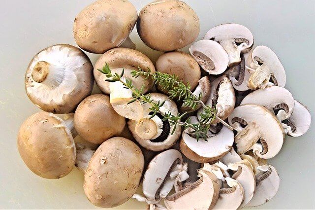 Some of The Different Types of Mushrooms Some of The Different Types of Mushrooms