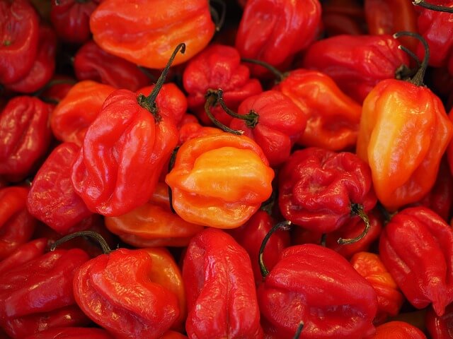 Other Chili Pepper Substitutes Other Chili Pepper Substitutes