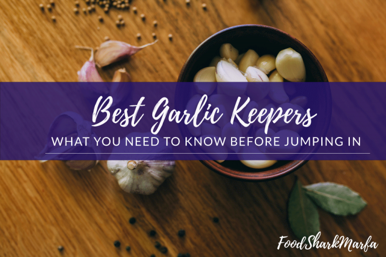 The 10 Best Garlic Keepers for Fresher Garlic Food Shark Marfa