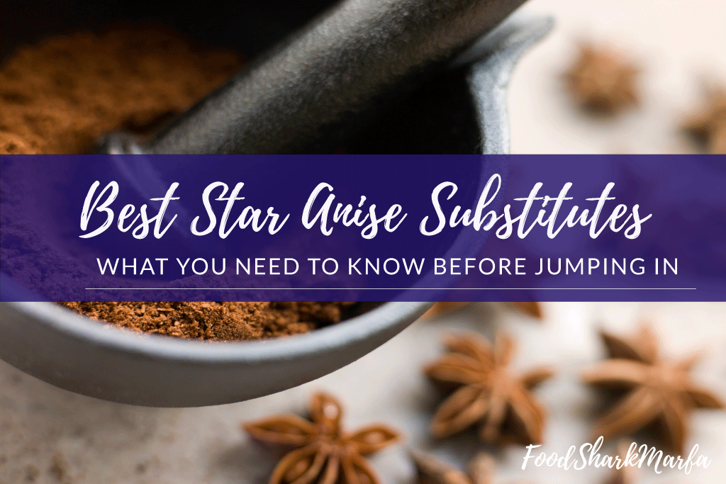 Best Star Anise Substitutes