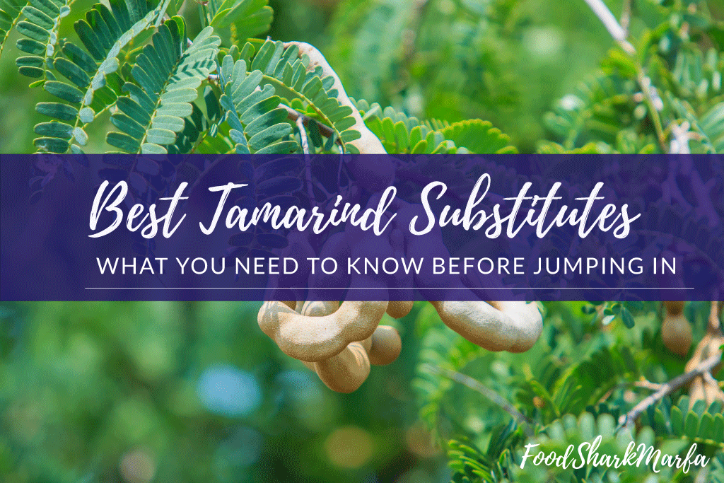 Best-Tamarind-Substitutes