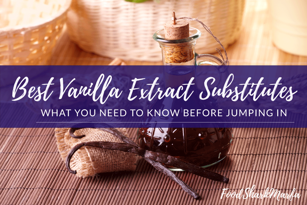 Best Vanilla Extract Substitutes
