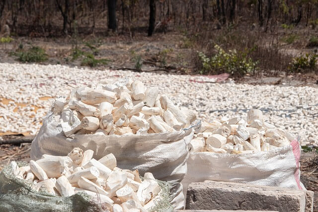 Cassava flour Cassava flour
