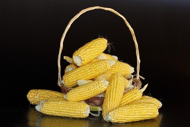 Corn starch Corn starch
