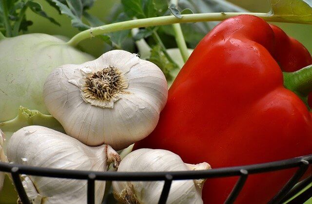 Garlic Garlic