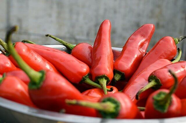 Jalapeno pepper Jalapeno pepper