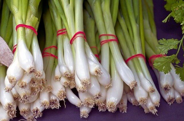 Scallions Scallions