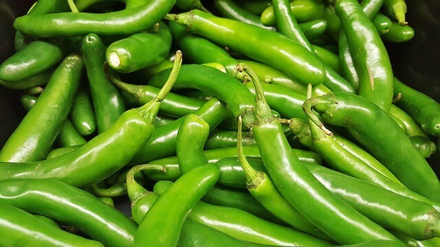 Serrano pepper