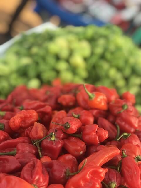 What is a scotch bonnet pepper What is a scotch bonnet pepper