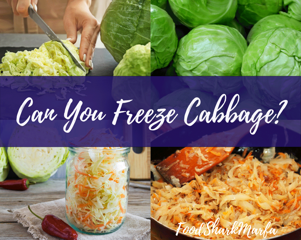 Can-You-Freeze-Cabbage