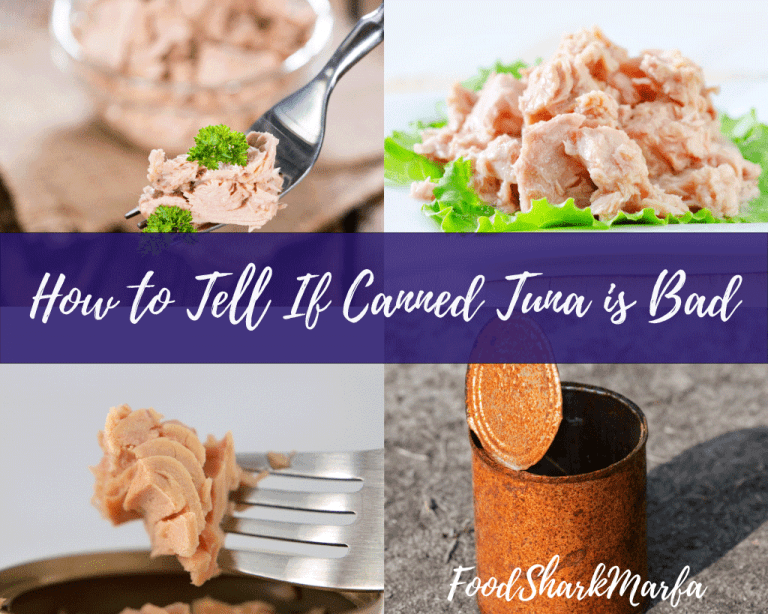 How to Tell If Canned Tuna is Bad? (In Four Simple Steps) Food Shark Marfa