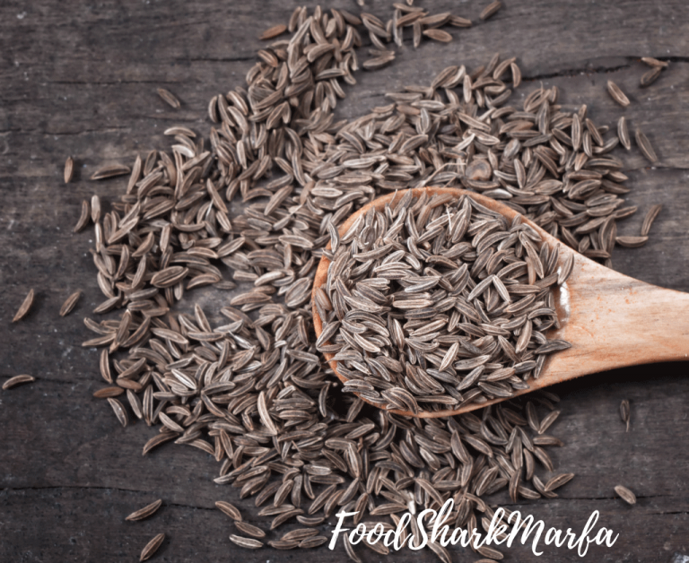 Cumin vs Coriander Are They Not the Same? Food Shark Marfa