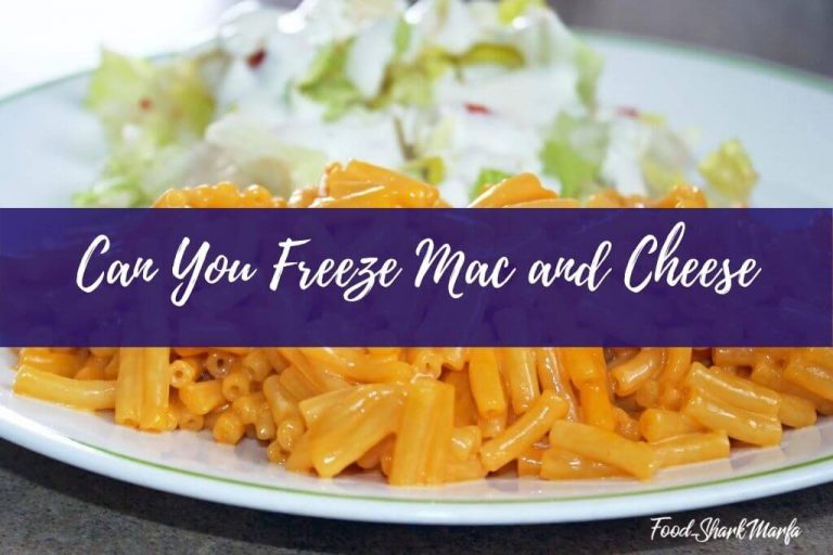 Can You Freeze Mac and Cheese Of Course You Can! Food Shark Marfa