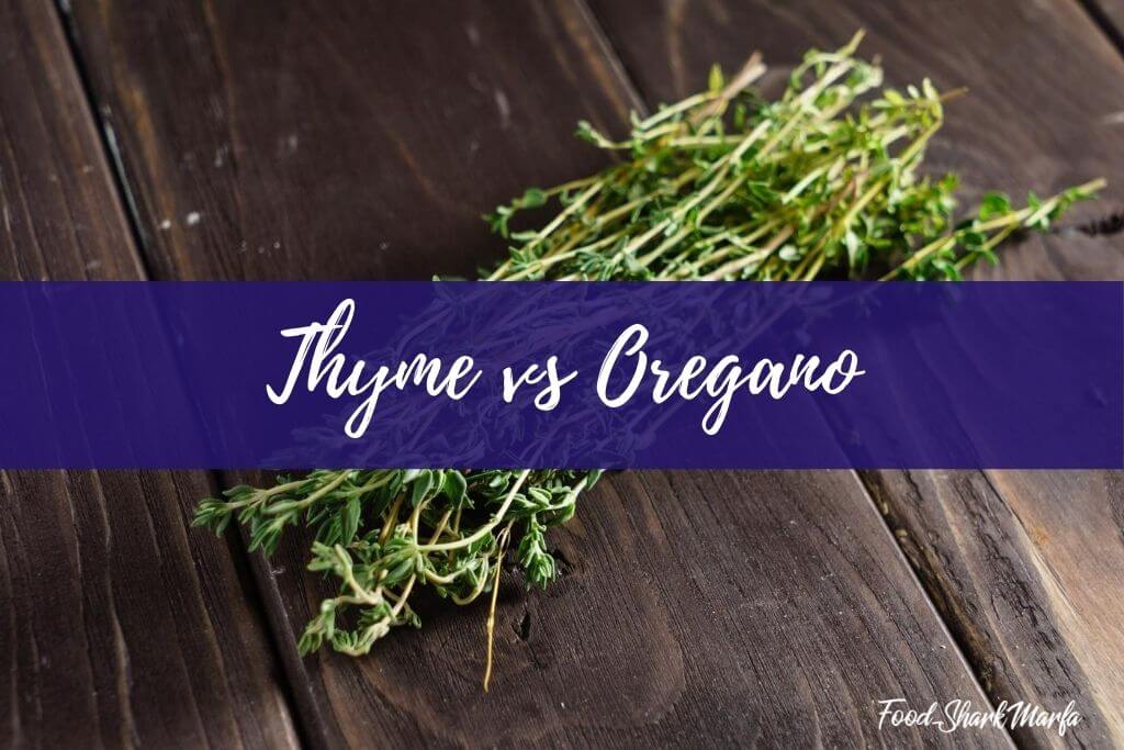 Thyme vs Oregano