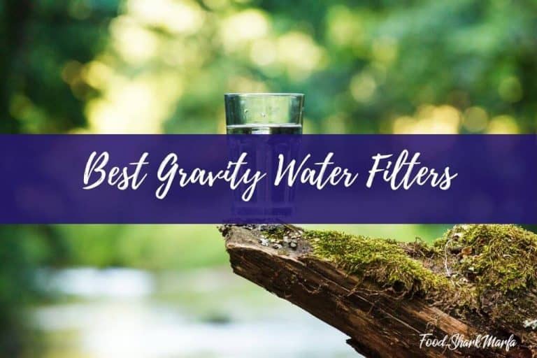The 8 Best Gravity Water Filters for Clean Drinking Water Anywhere Food Shark Marfa