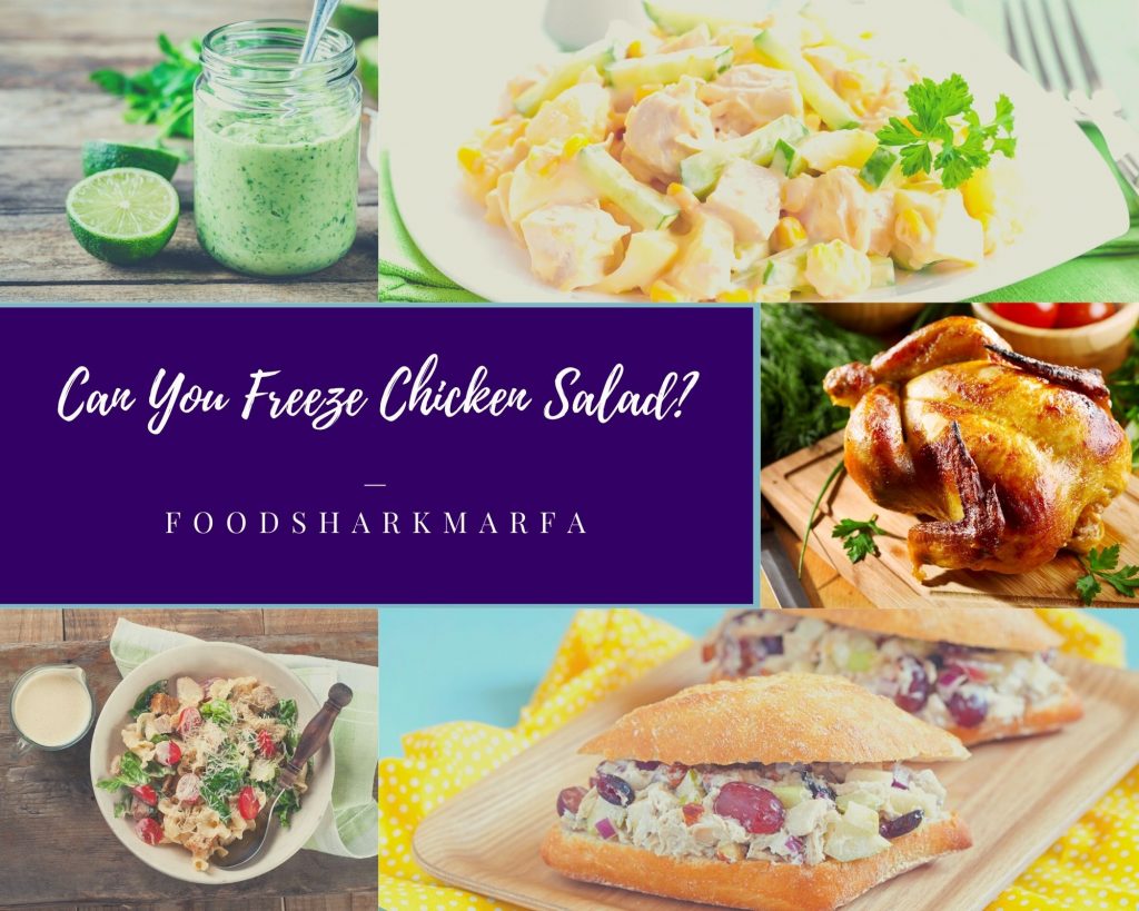 Can You Freeze Chicken Salad?
