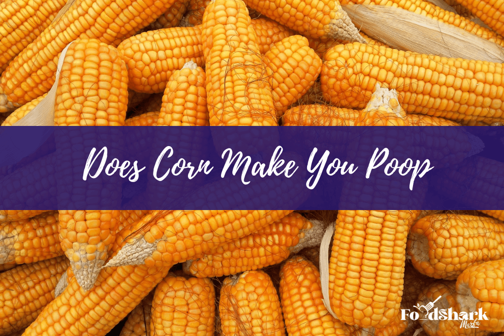 Does Corn Make You Poop