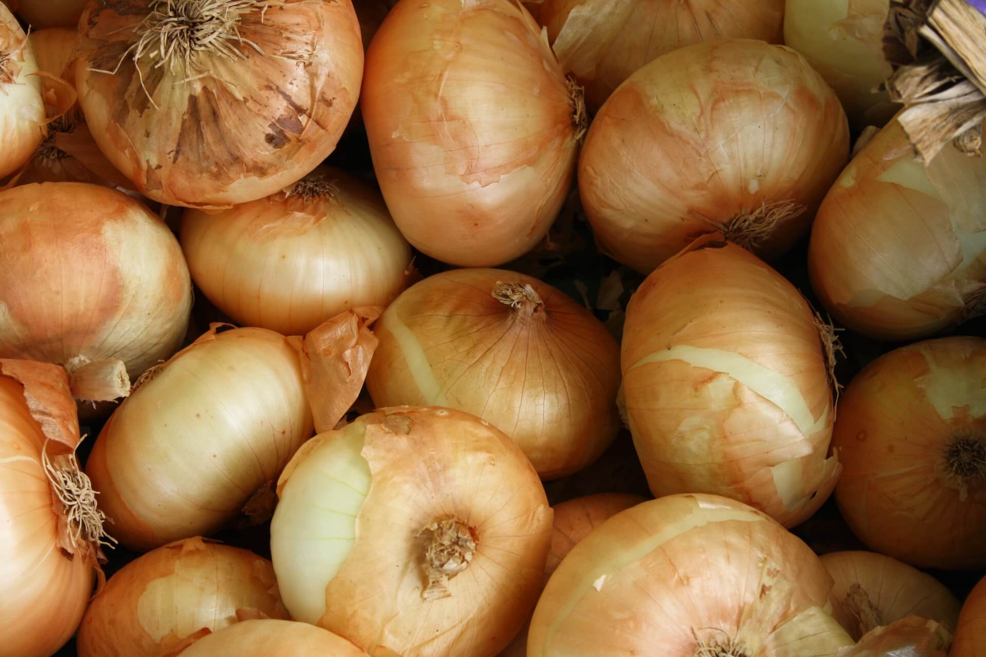 What Are Vidalia Onions What Are Vidalia Onions